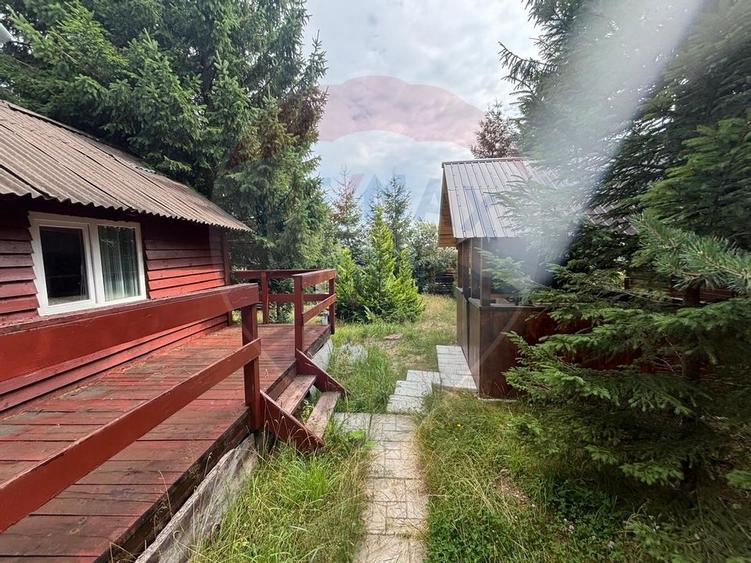 Cabana Marisel aproape de partia de ski- COMISION 0% - 5