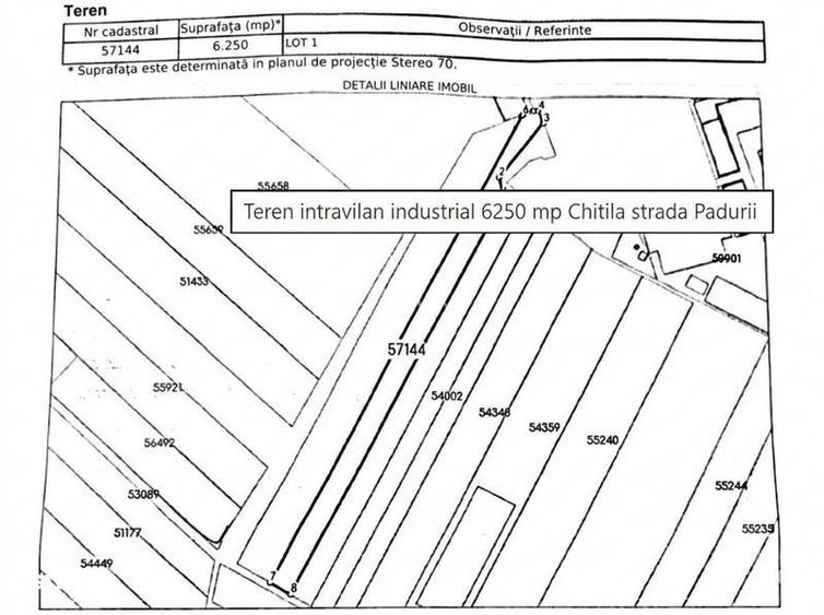 Teren intravilan industrial 6250 mp Chitila strada Padurii - 2