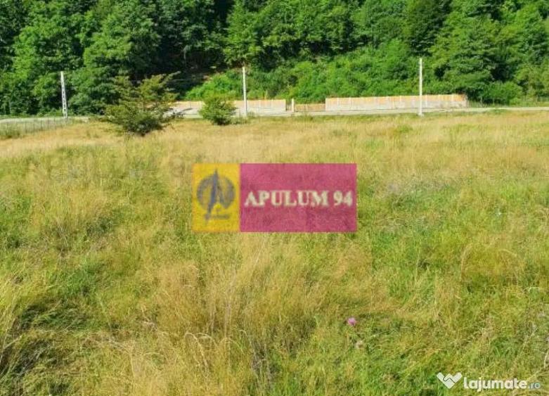 Teren Jude?ul Valcea - Brezoi, Valea lui Stan - 11