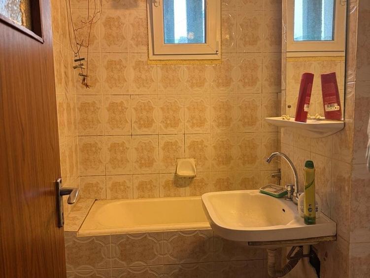 Camil Ressu, Lotrioara, 5 minute parc IOR si metrou Nicolae Grigorescu - 7