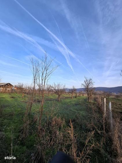 4.443 mp pozitionati direct la DJ678A, cu 39,57 m front stradal . - 8