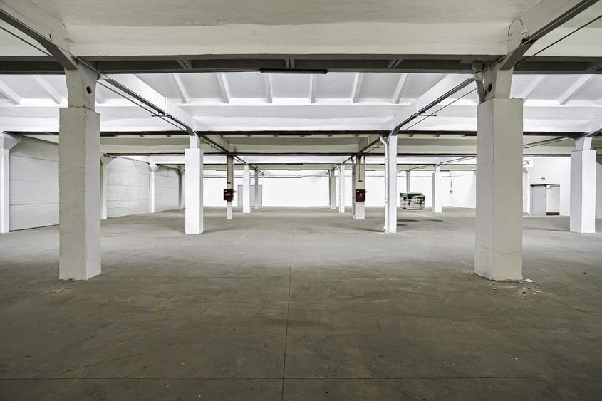 Hala Industriala de inchiriat 1.174 mp cu rampa egalizatoare, Arad - 2