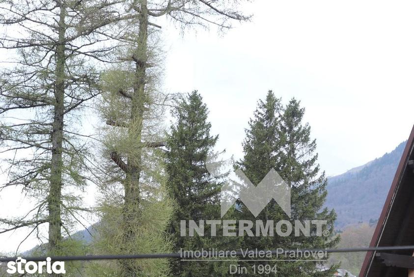 Apartament in vila, 2 camere in Bu?teni, zona Poiana ?apului - 12