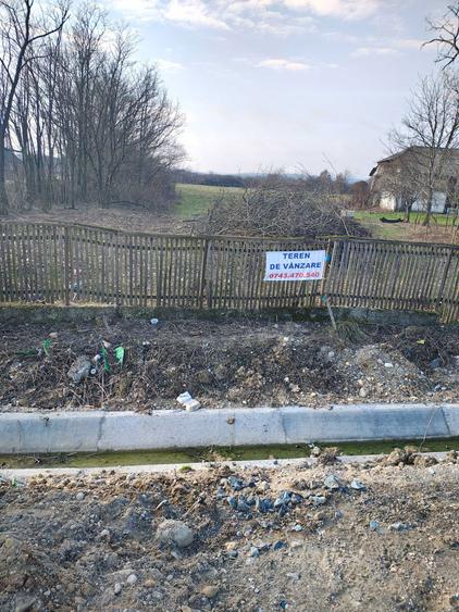 Teren intravilan de vanzare in comuna Pomi - 2