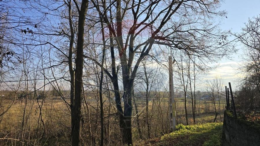 Teren  de vanzare in Fratautii Noi / Strada Dealului - 19