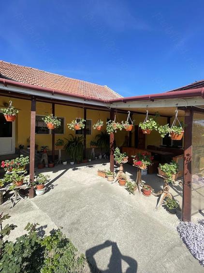 Casa de vanzare + teren 2.600 mp in Drag?ina, aproape de Timi?oara 149.000 negociabil - 5