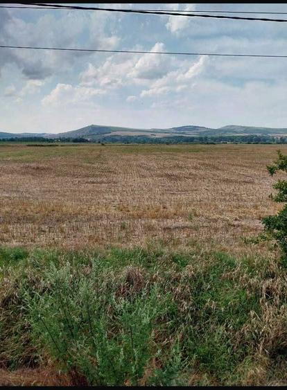 3 Terenuri extravilane, Ungheni, jud Mures- zone cu potential! - 1