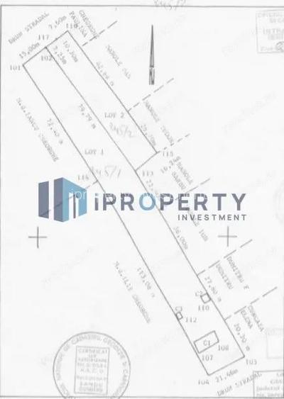 Teren Intravilan | 3335mp | Com Sinesti, Sat Catrunesti, Jud Ialomita
