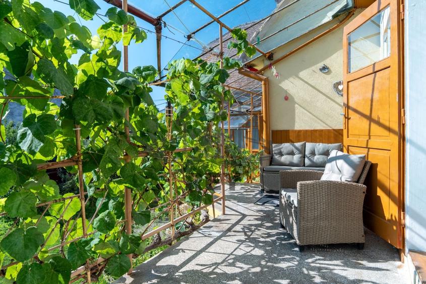 Se vinde casă single / 950 mp teren / Sibiu Str. Ecaterina Teodoroiu - 2