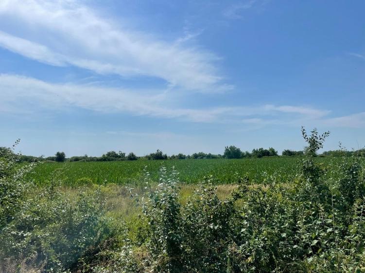 Teren Construcții extravilan de 500 mp, în Ordoreanu