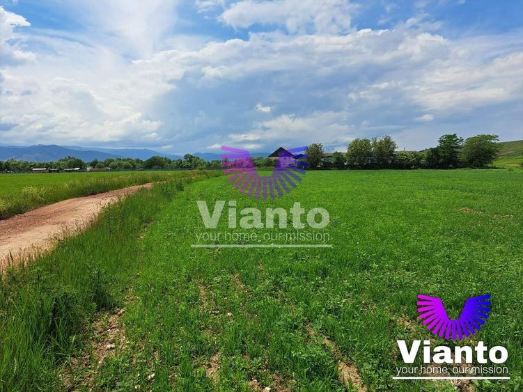Teren agricol extravilan de 500 mp, în Turnișor