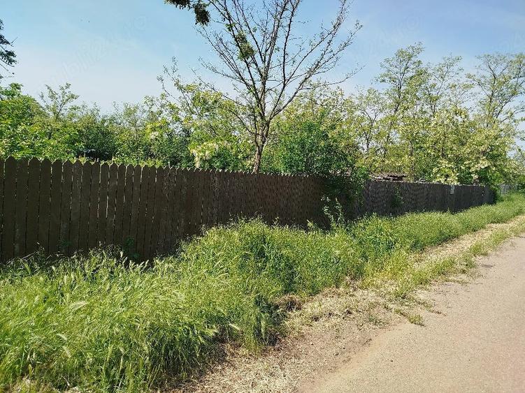 Casa buna si teren Malu Rosu Arma?e?ti jud. Ialomi?a - 8