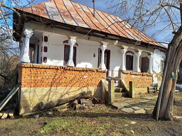 Gospodarie taraneasca in Cuca, Arges - ZERO comision la cumparator! - 4