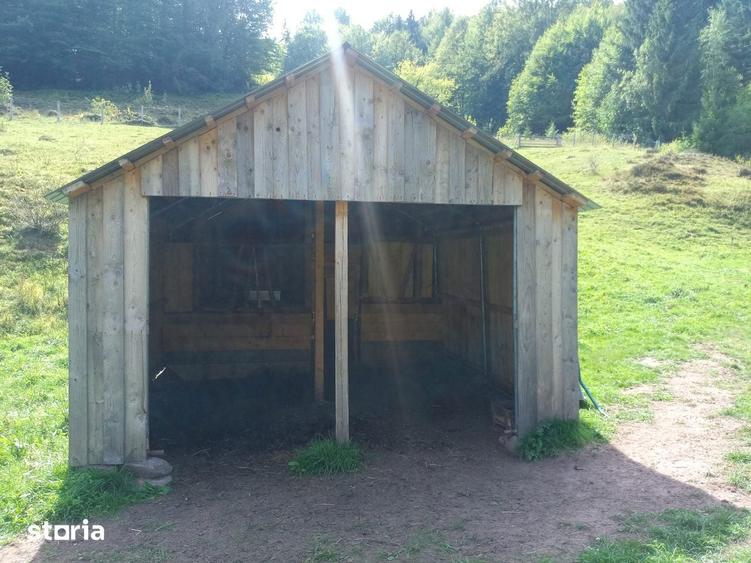 Proprietar, vand teren ?i gospodarie in comuna Arie?eni - 7,5euro/mp - 6