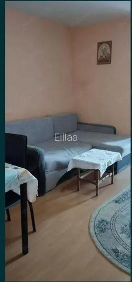 Garsoniera colentina - teiul doamnei