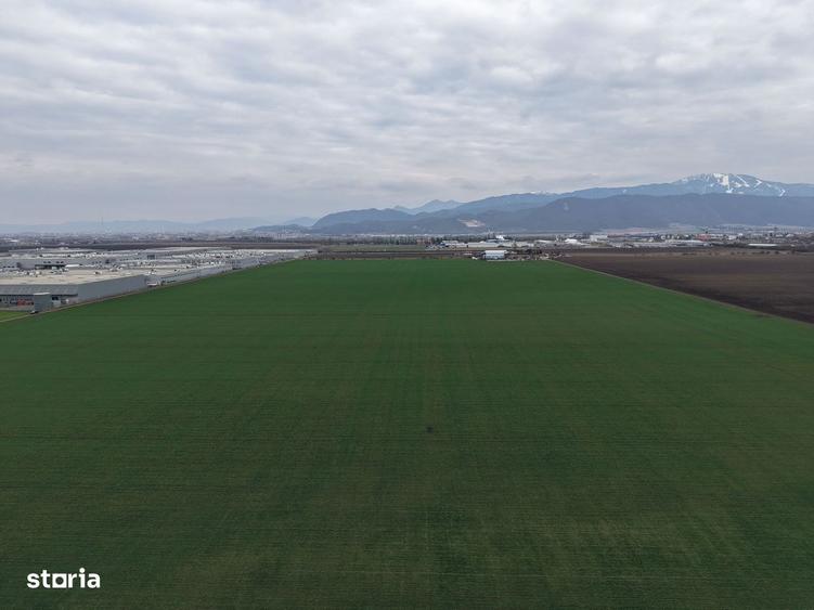 Teren de vanzare 20.000mp Ghimbav, langa Parcul Industrial - 6