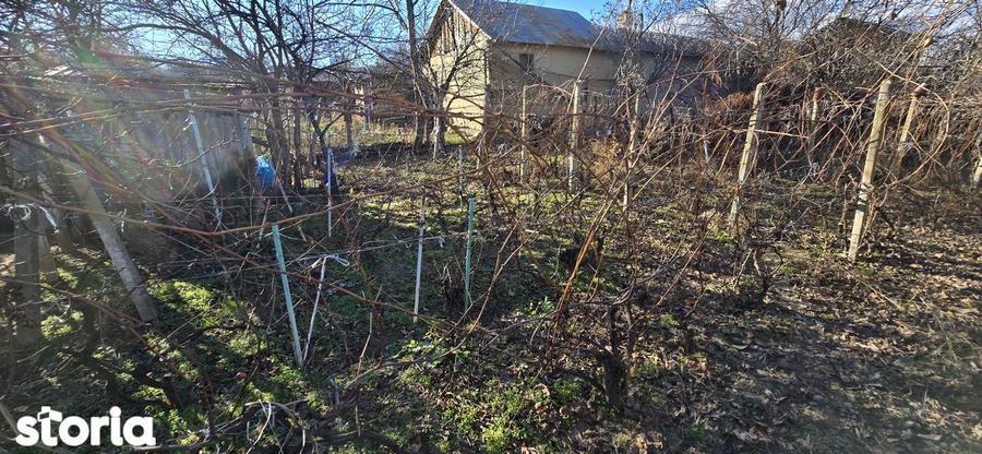 Casa Beciu de vanzare, la 2 km de Odobesti si 12 de Focsani - 5
