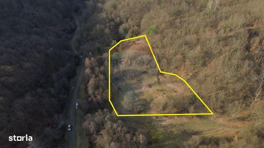 Poiana pentru cabana de vanzare intravilan Coas - 1