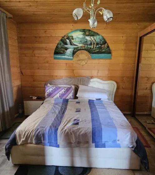 HORIA - 3 CAMERE ,SUPRAFATA 100 MP,TEREN 3000 MP CU DESCHIDE - 15