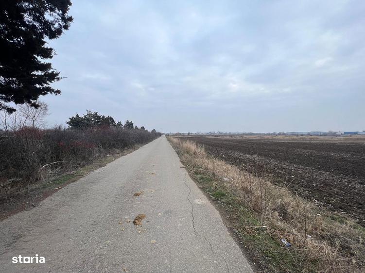 LOTURI DE CASA / Teren CHITILA / 500 Mp - 6