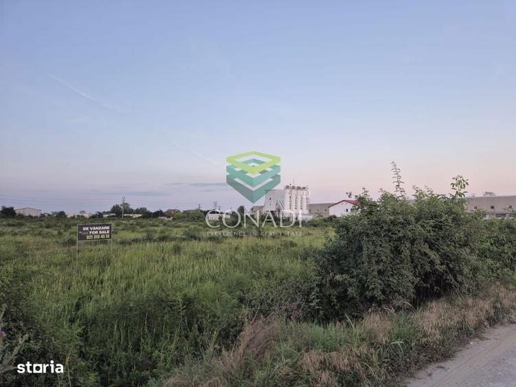 Teren industrial de vanzare in Clinceni 23.943 mp | Langa Centura - 6