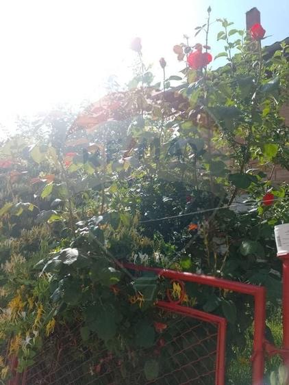 Casa cu 4 camere si gradina, Dacia 70 km de Brasov! - 12