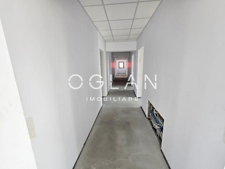 Cladire administrativa+hala+10.759 mp teren, Industrial Vest - 11