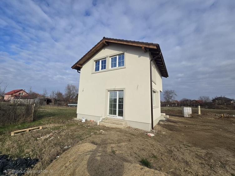 Casă individuală în vatra satului Albina - 1