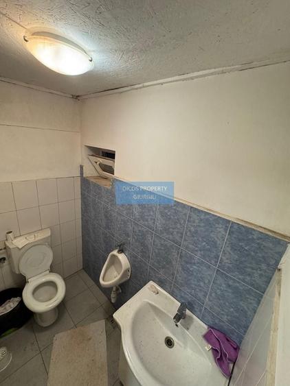 Proprietate industrială de vânzare sau închiriere – Comuna Frătești - 7