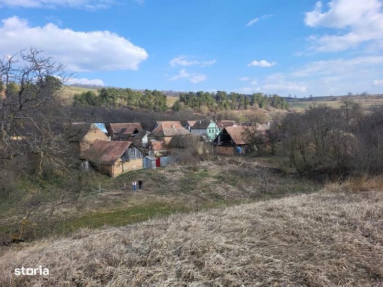 Teren 1 hectar cu casa - 1