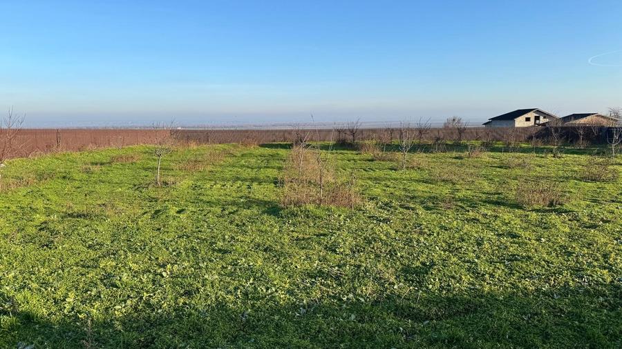 Teren  Tătarca, comuna Tulucești– 2.042 mp - 2