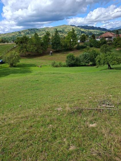 Teren intravilan+extravilan Podirei Bistrita - 2