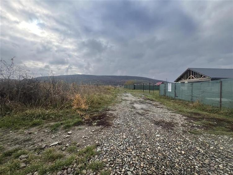 Hemeius- teren 500 mp- 18 ml deschidere! - 2