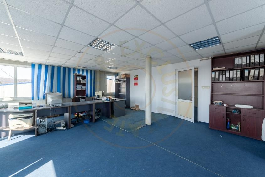 Hale & Birouri Mărăcineni - 1.294 mp - Deschidere la DN - 6