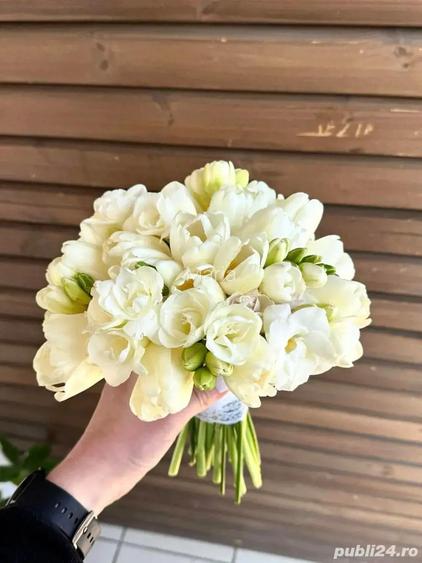 Floraria la cheie + dosar fonduri europene Floraria la cheie + dosar fonduri europene