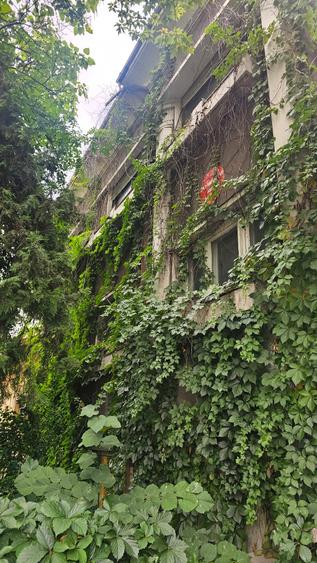 Vila singur curte Mihalache Domenii Expozitiei - 2