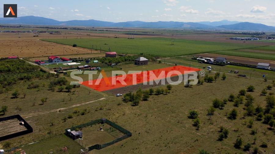 Teren intravilan Livada Sanpetru - 3