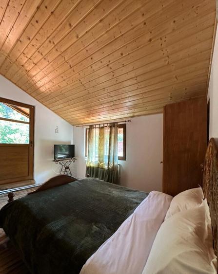 Pensiune 8 dormitoare Gureni, Gorj - 17