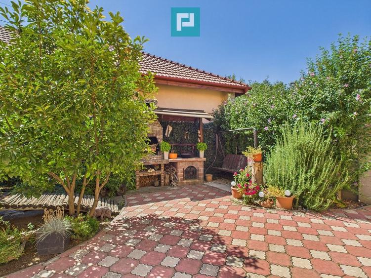 Pensiune la Orțișoara - 47