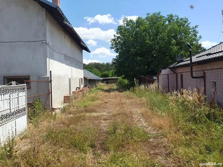 Vand proprietate - 5