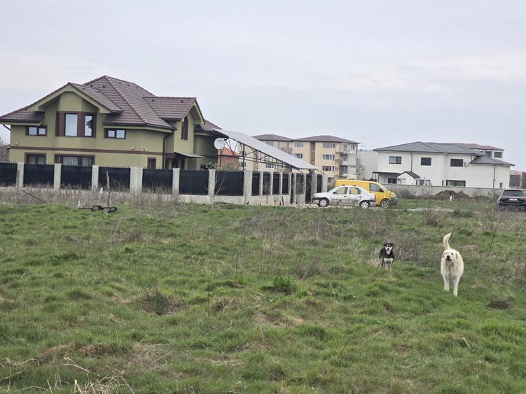 Teren de vanzare in Constanta zona Km 5  Veterani - 1