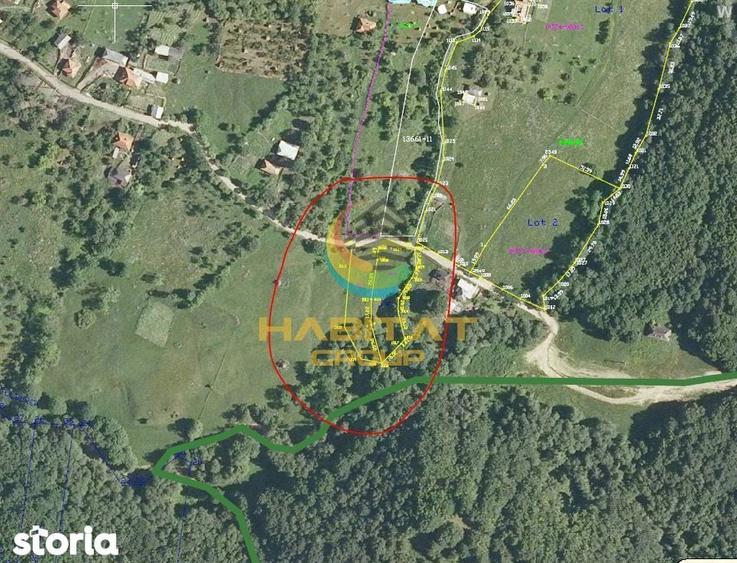Teren intravilan cu apa/curent 5/mp Corbeni-Arges - 4