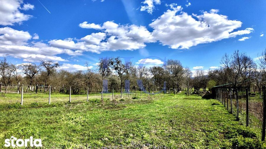 Casa 4 camere|Gradina 1600m | Vedere Fagaras | Sacadate| 25 min Sibiu - 1