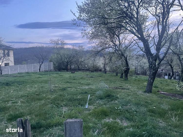 Teren Resita Extravilan Stema 24 Ianuarie Pret Negociabil - 2