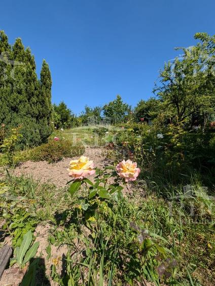 Teren pentru constructie casa in Faget - 10