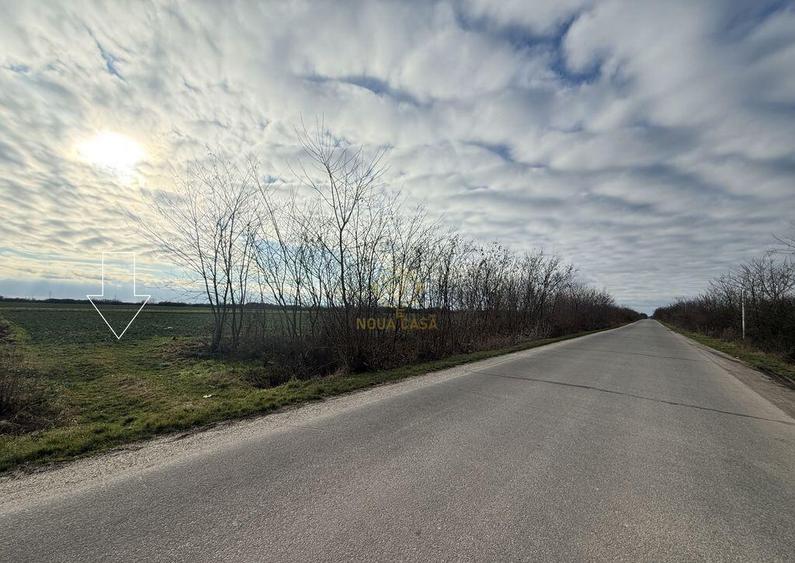 Teren 6600MP Cu Front Stradal 101 M La Intrare in Lazuri ... - 6