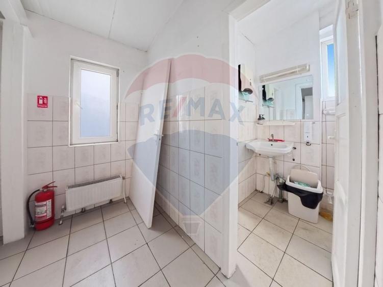 Cladire individuala 243 mp de inchiriat pe strada Mioritei - 7