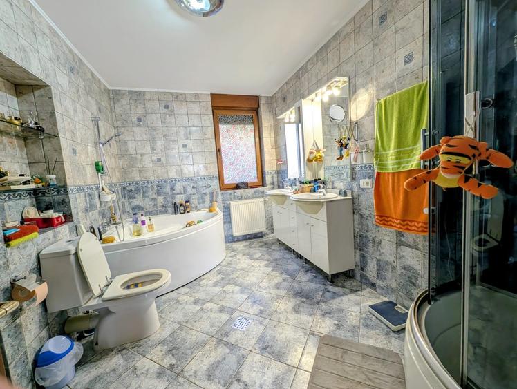 Jiului-Coralilor-Damaroaia,eleganta,robusta,garaj,curte intima,vegetatie matura - 32