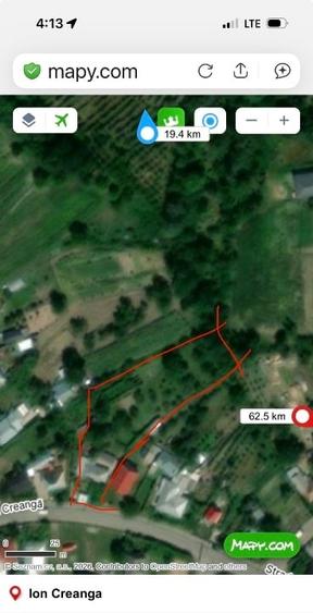 Casa batrineasca cu approx 2800 mp teren, vie, pomi fructiferi, zmeura, coacăze - 13