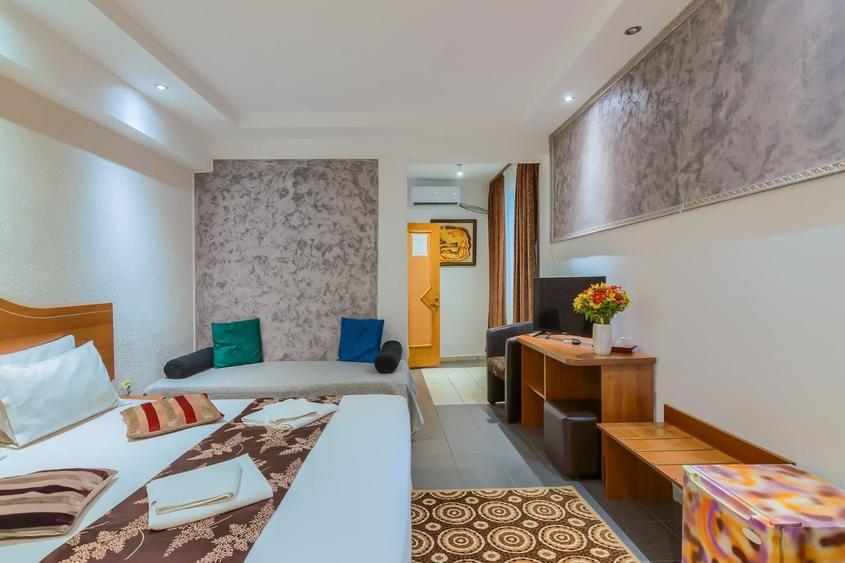 Stirbei- Berzei- Vulcanescu - 9